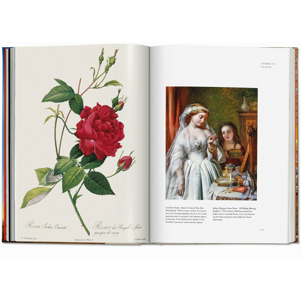Plant Magick. The Library of Esoterica (English) Eleish Van Breems Home
