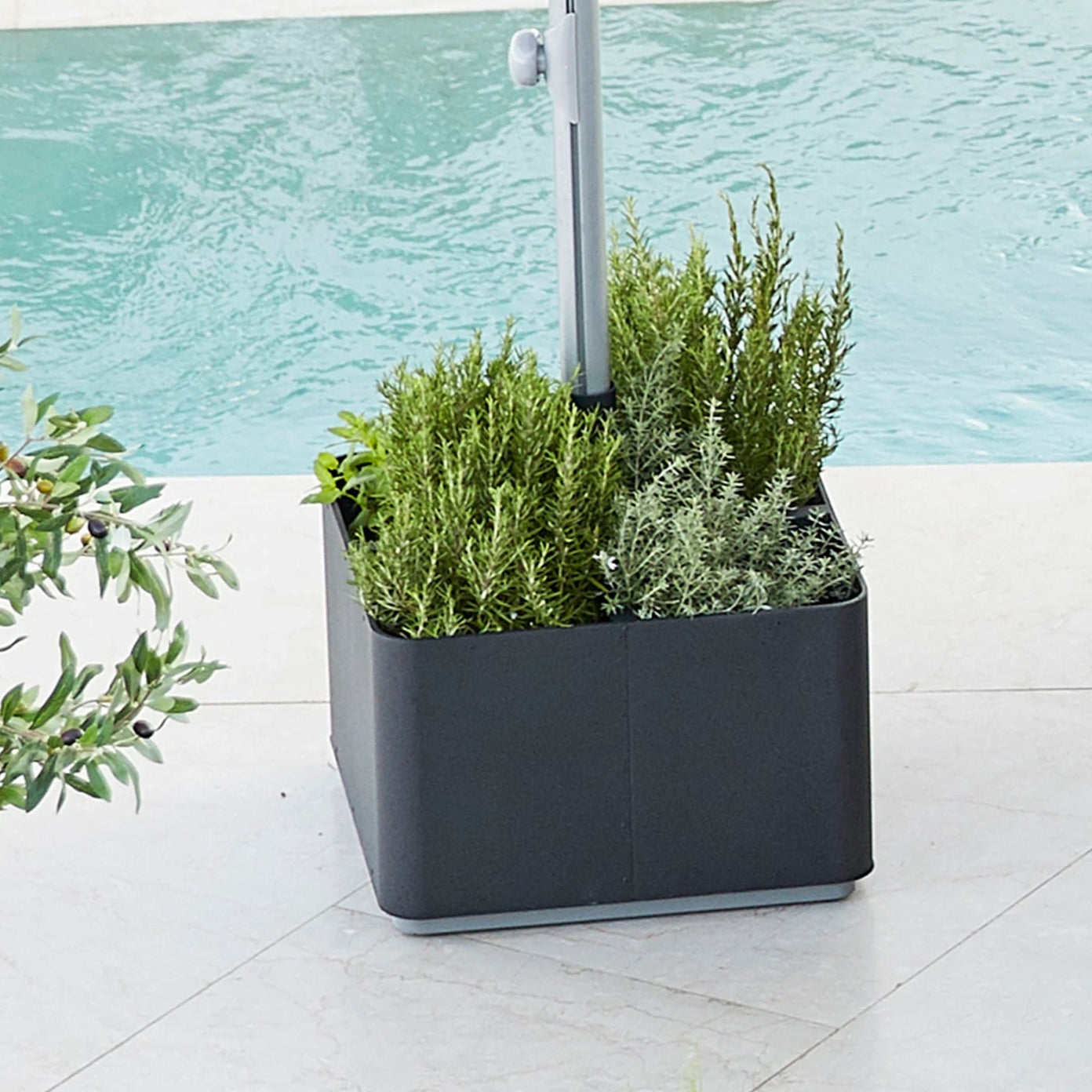 Grow Parasol Base w/Wheels Eleish Van Breems Home