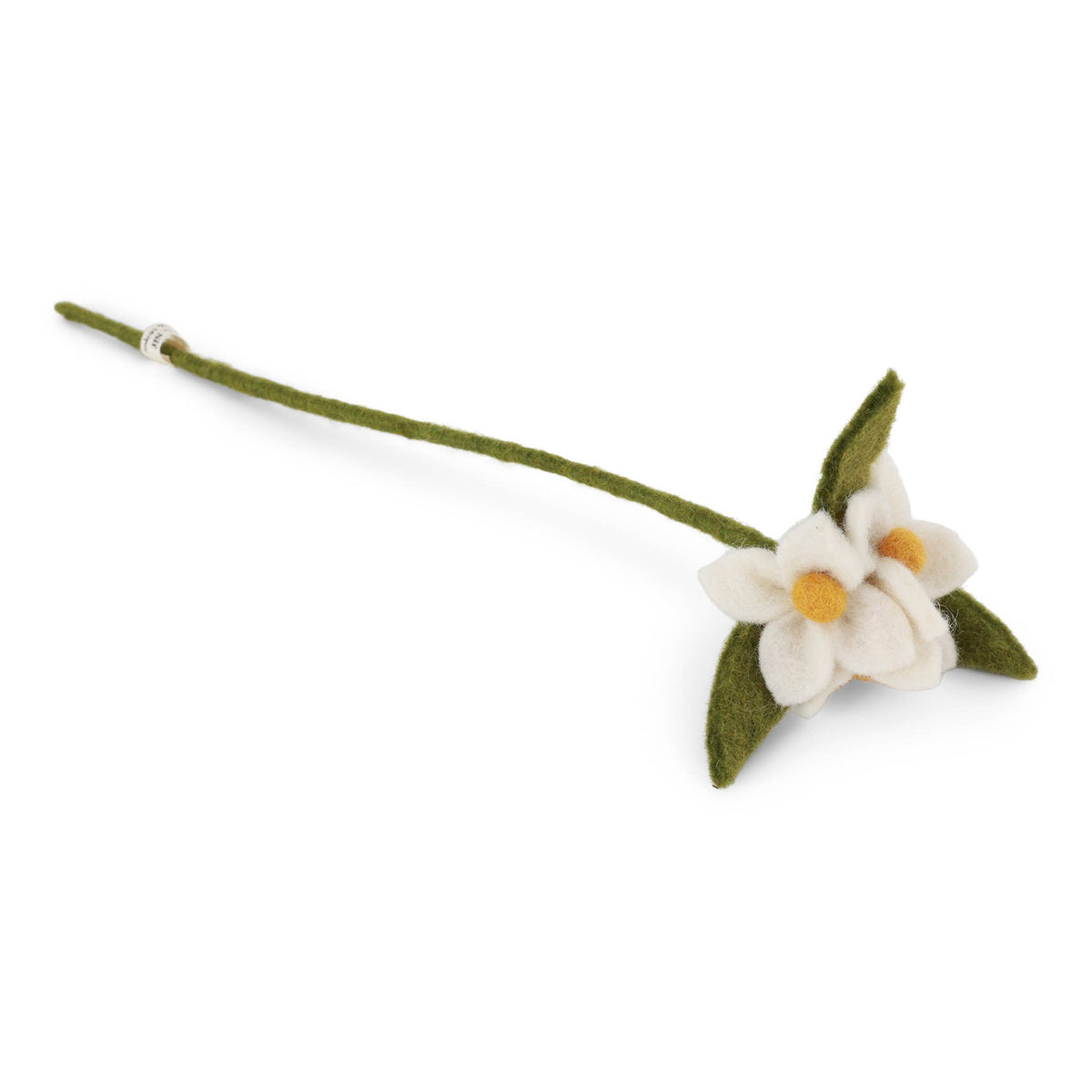White Flowers on Branch Eleish Van Breems Home
