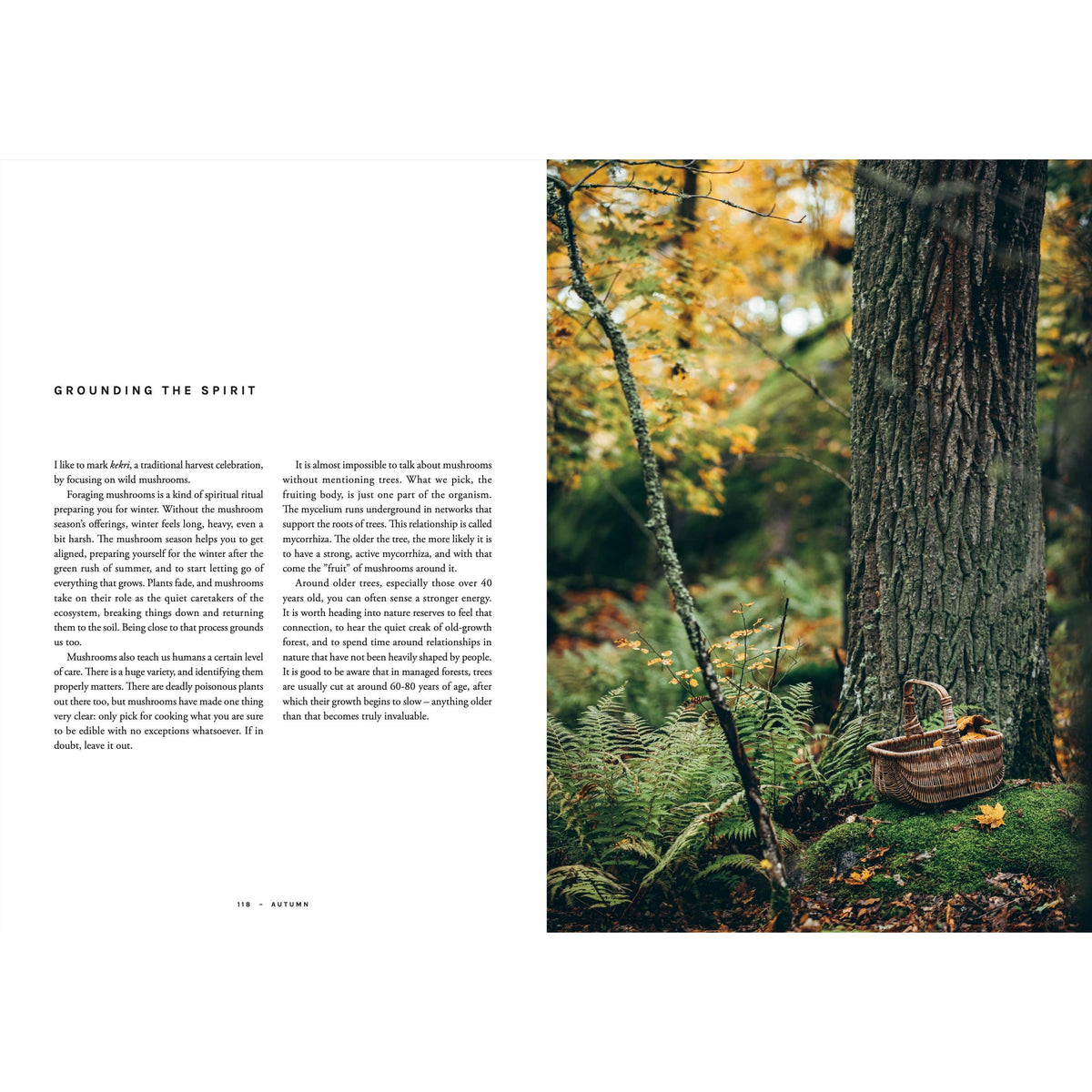 Cookbook: Chef’s Wild Nordic – Recipes for 72 Micro-Seasons Eleish Van Breems Home