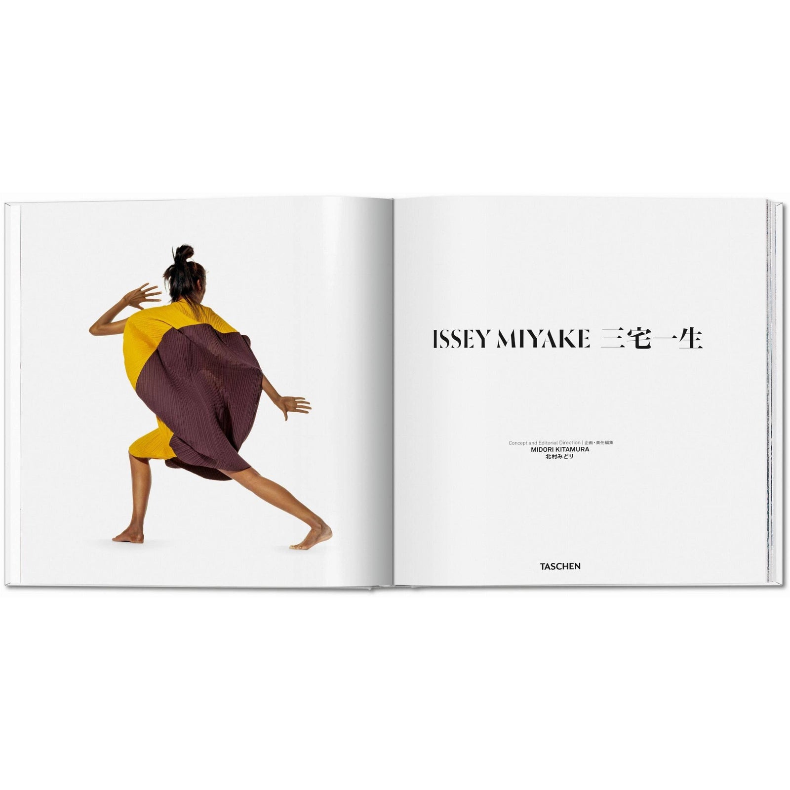 Issey Miyake (English, Japanese) Eleish Van Breems Home