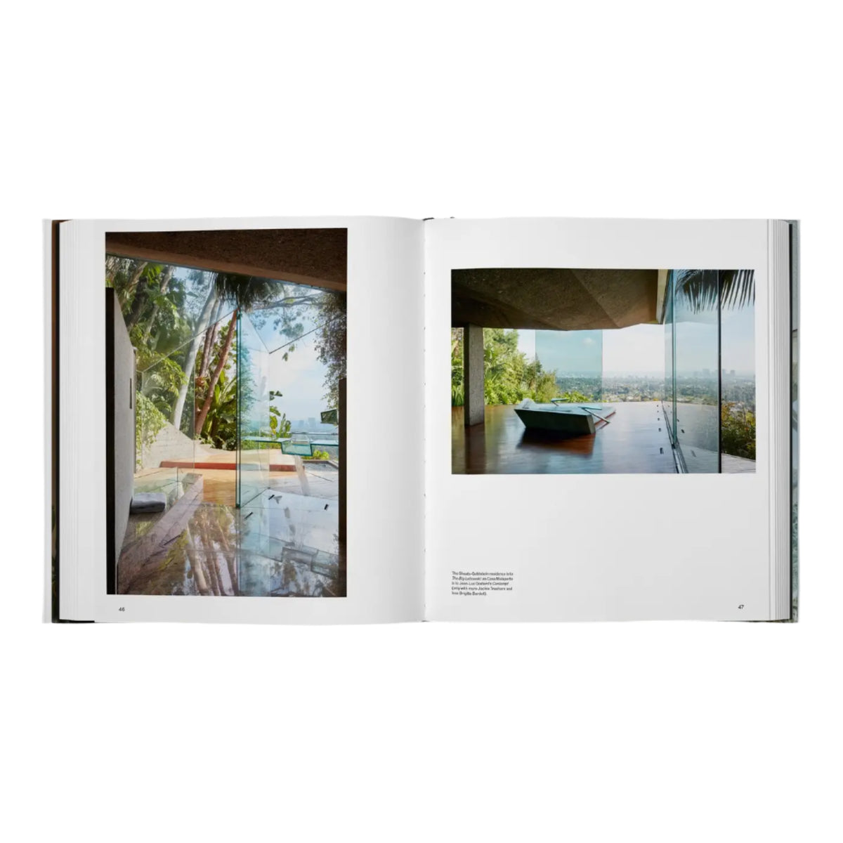 Beyond The Canyon: Inside Epic California Homes Eleish Van Breems Home