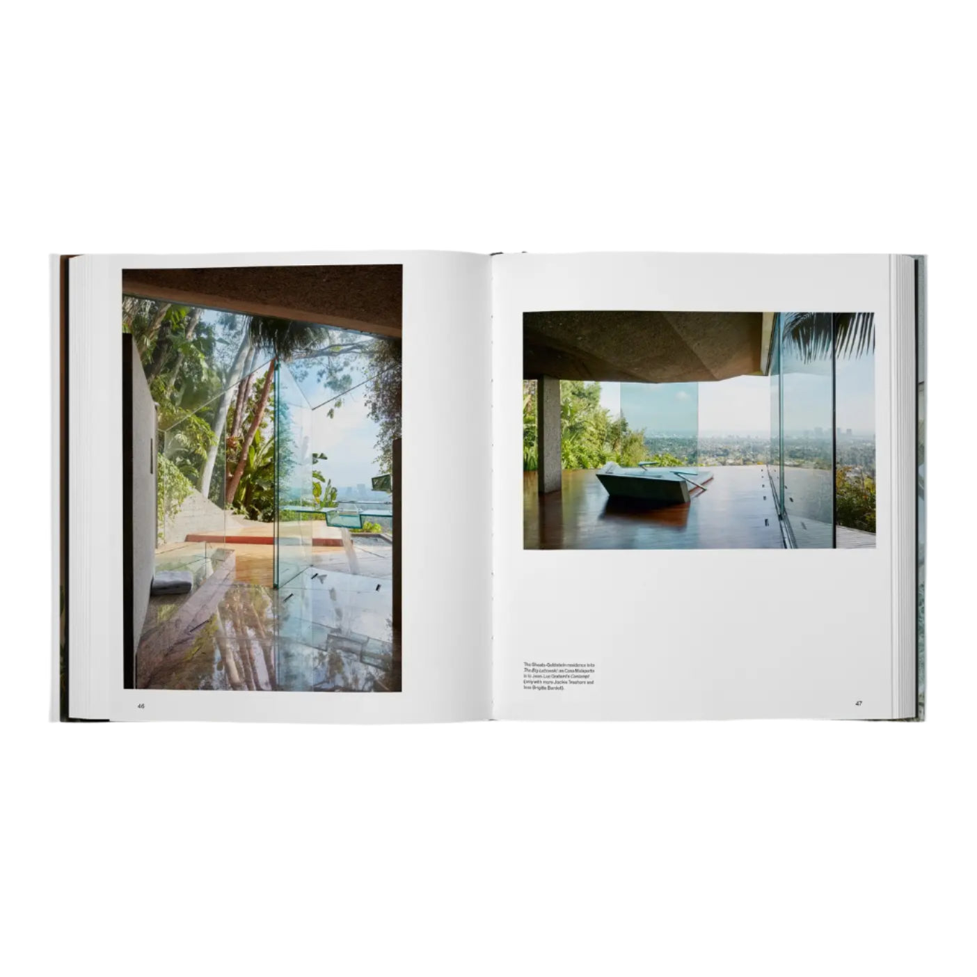 Beyond The Canyon: Inside Epic California Homes Eleish Van Breems Home