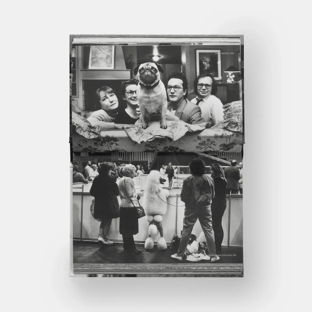 Dogdogs Eleish Van Breems Home