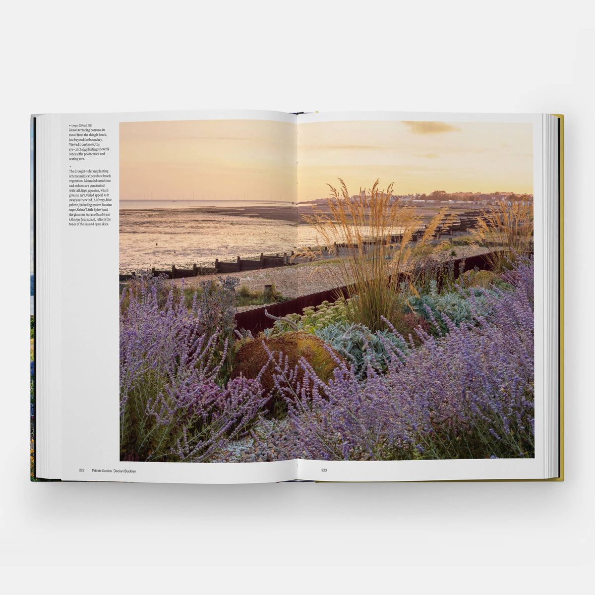 The Coastal Garden Eleish Van Breems Home