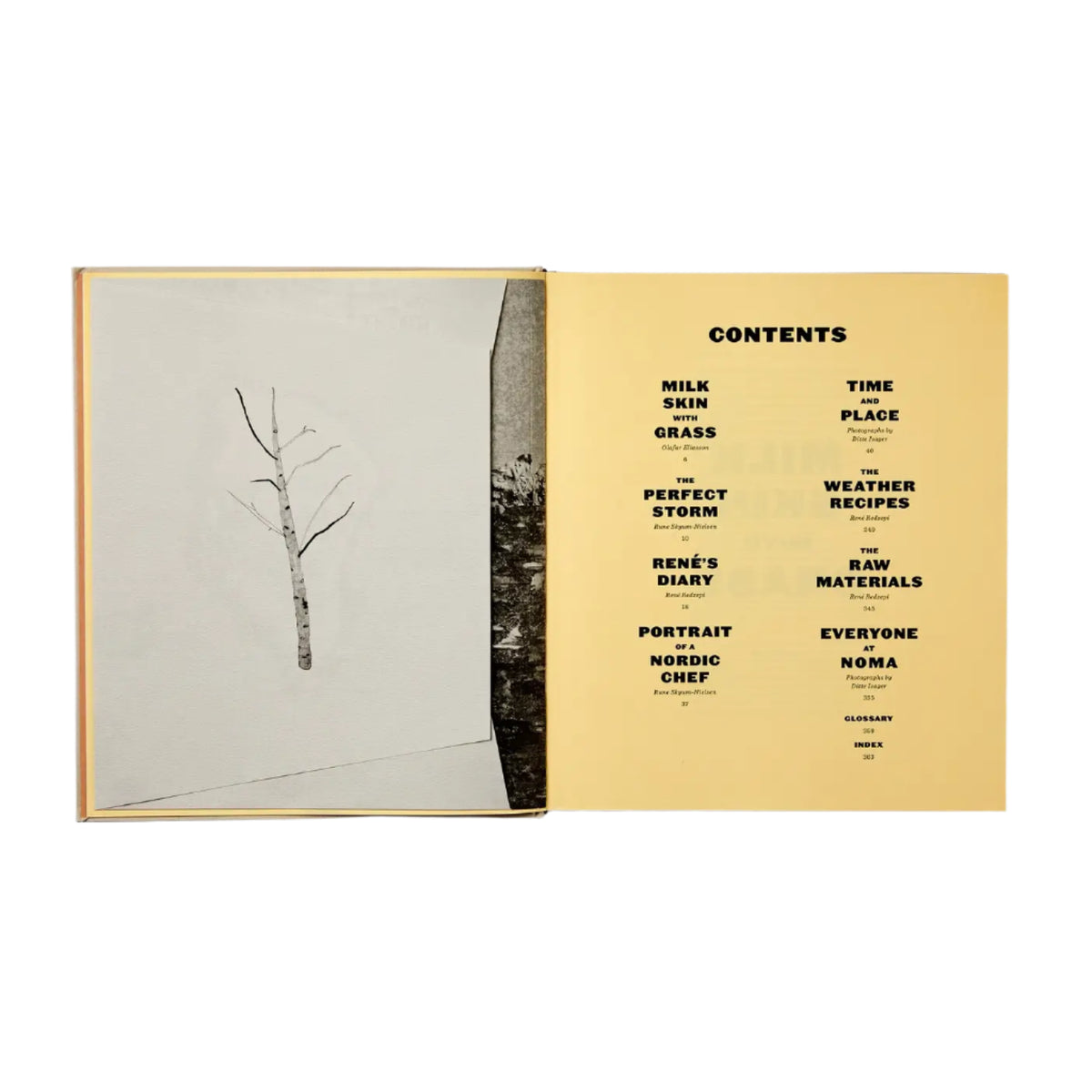 Noma: Time and Place in Nordic Cuisine Eleish Van Breems Home