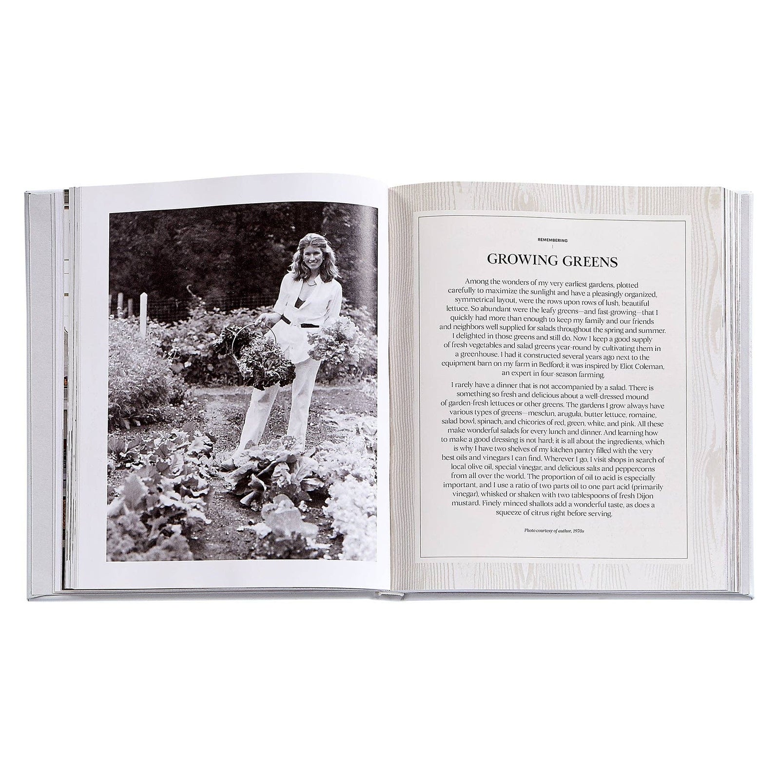 Martha: The Cookbook By Martha Stewart Leather-Bound Eleish Van Breems Home