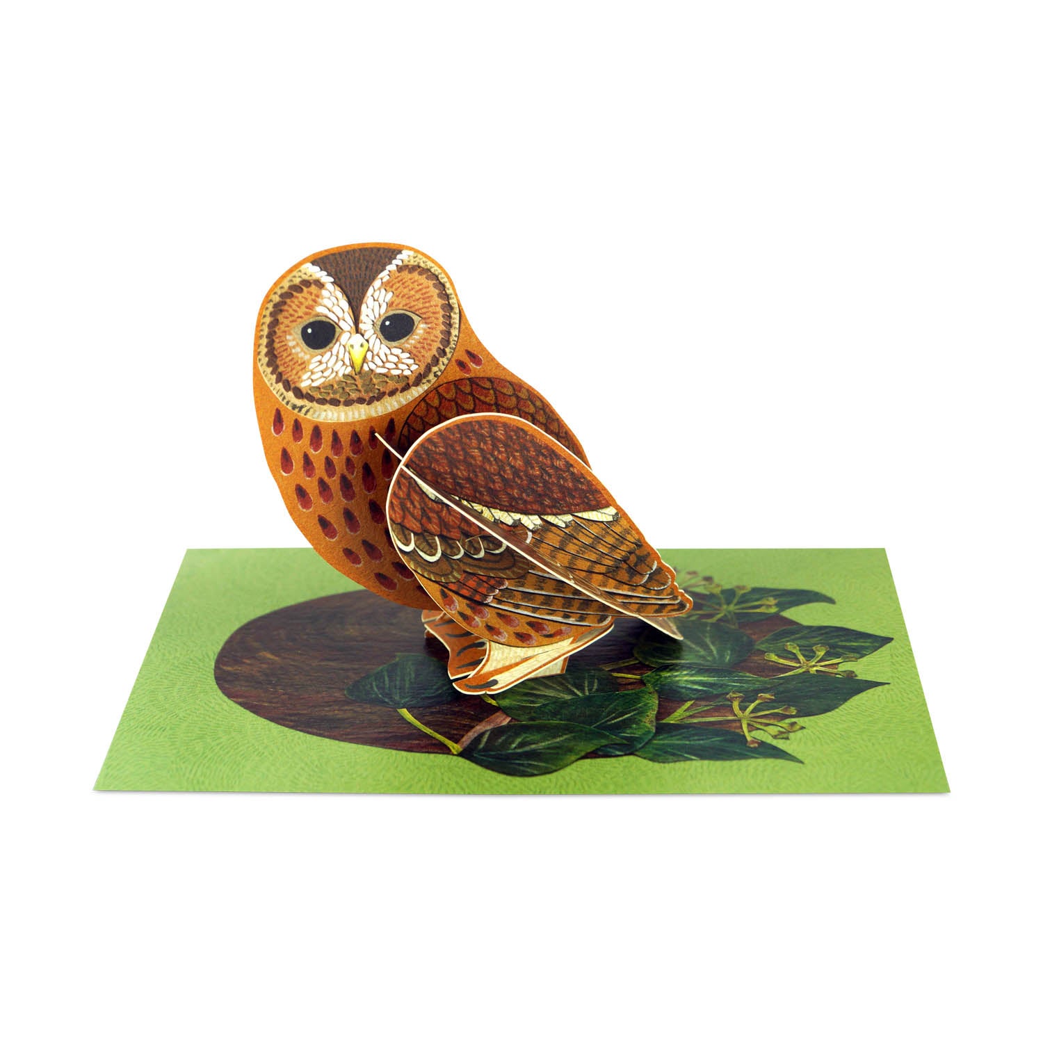 Pop-out Tawny Owl Card Eleish Van Breems Home