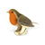 Pop-out Robin Card Eleish Van Breems Home