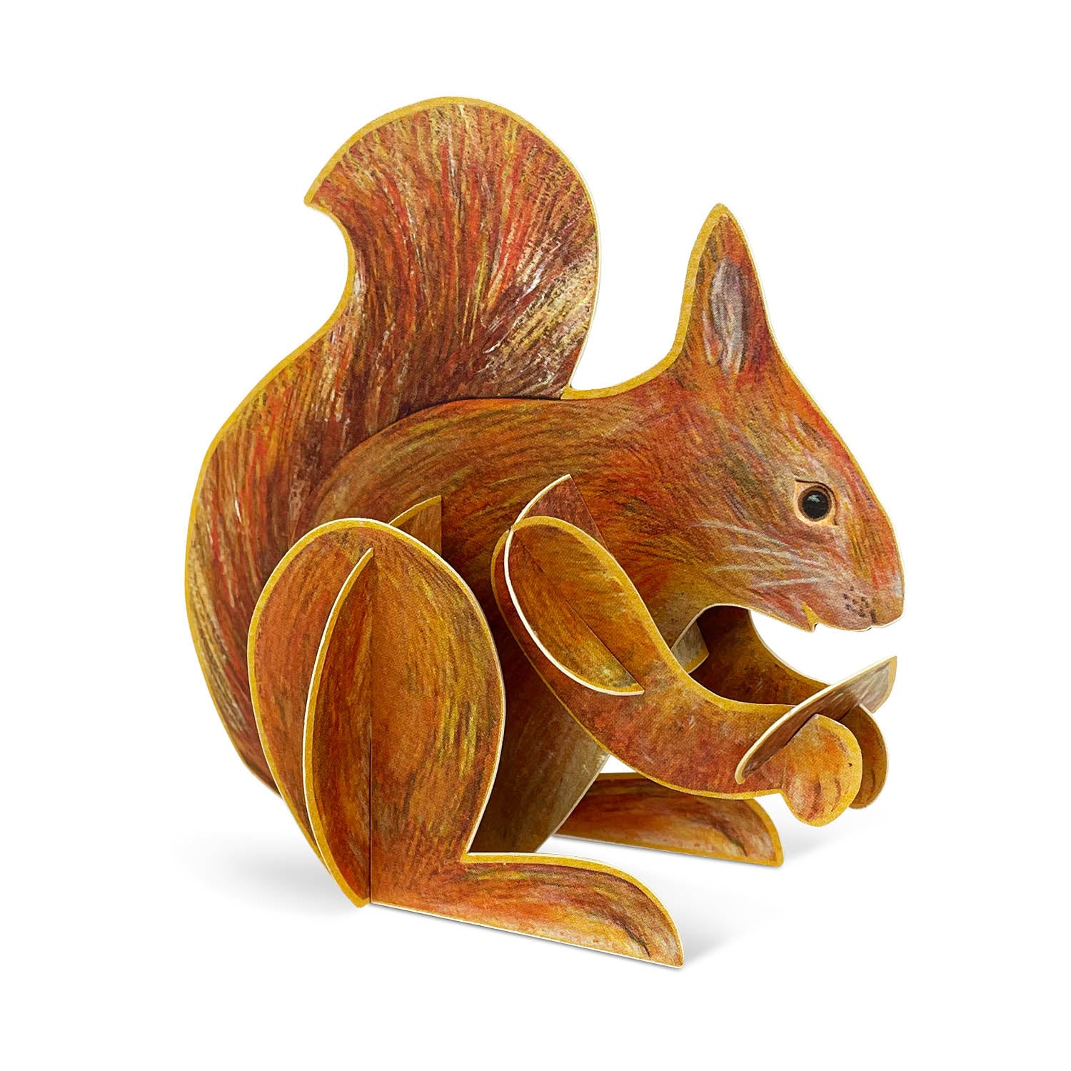 Pop-out Red Squirrel Card Eleish Van Breems Home