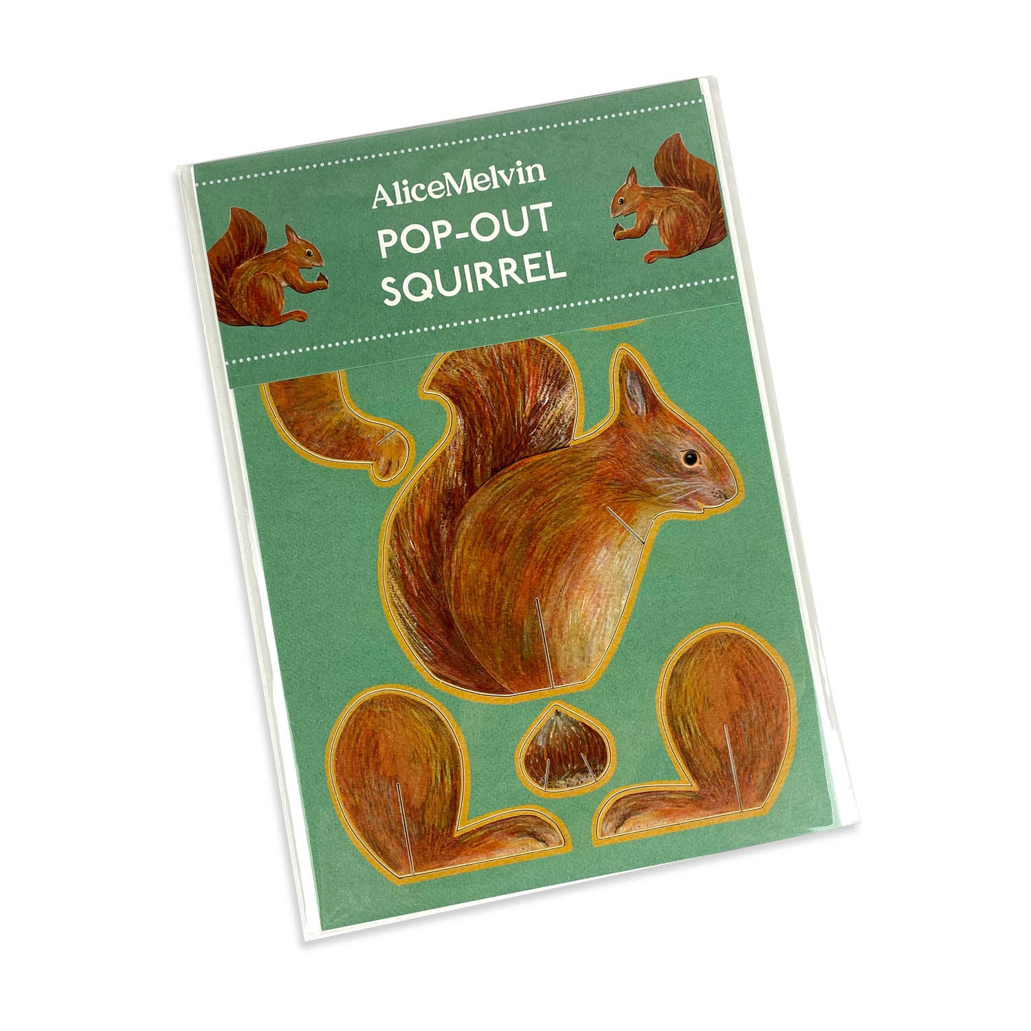 Pop-out Red Squirrel Card Eleish Van Breems Home