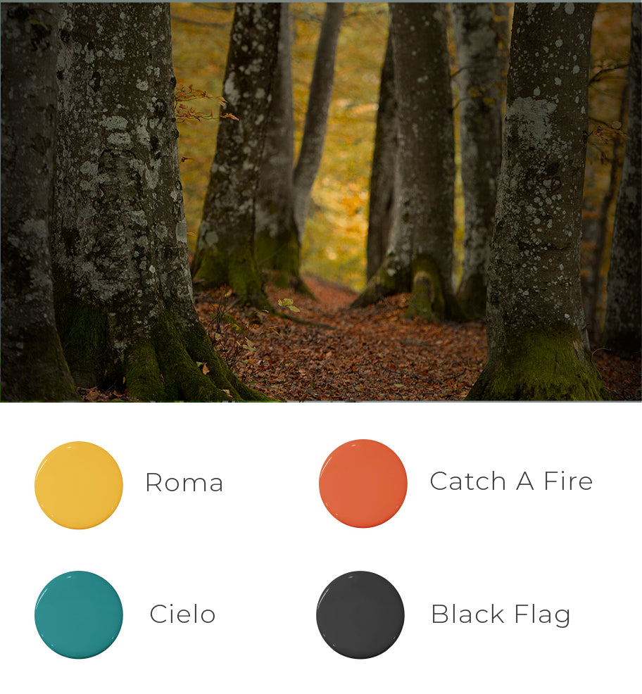 Capturing the Aesthetics of the Fall Season : The Palette of
