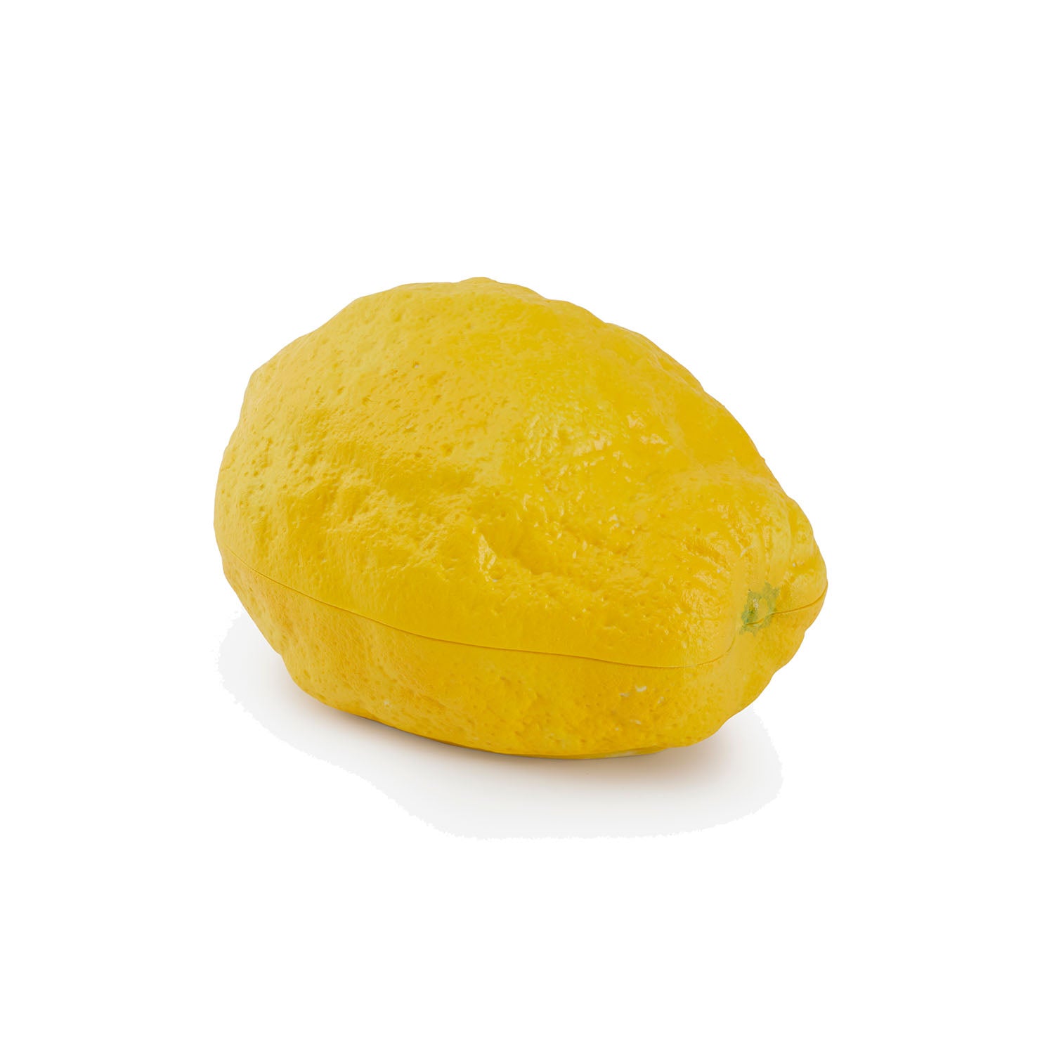 Lemon Box Dish Eleish Van Breems Home