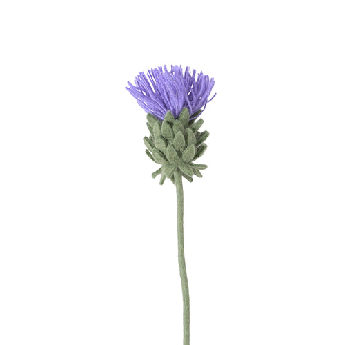 Endless Flower, Blooming Artichoke