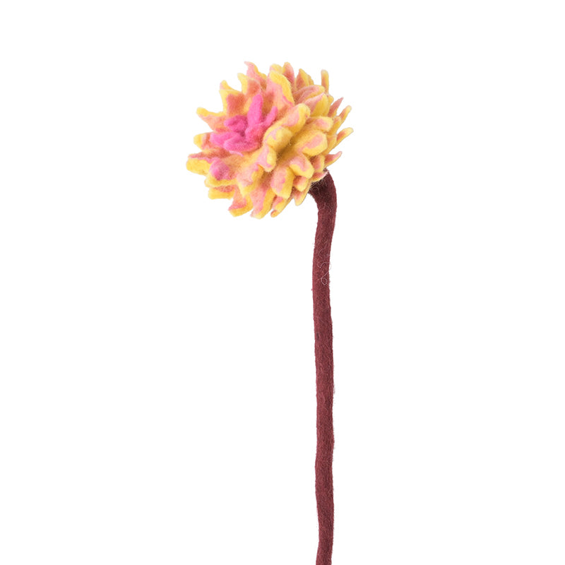 Endless Dahlia Flower, Karma Eleish Van Breems Home