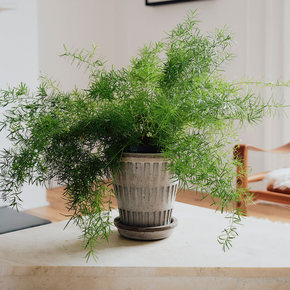 Pantheon Raw Grey Pot Eleish Van Breems Home