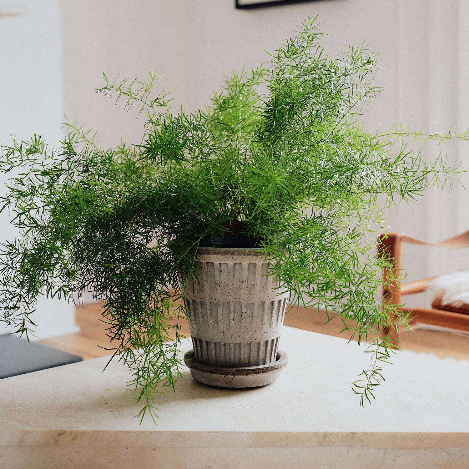 Pantheon Raw Grey Pot Eleish Van Breems Home