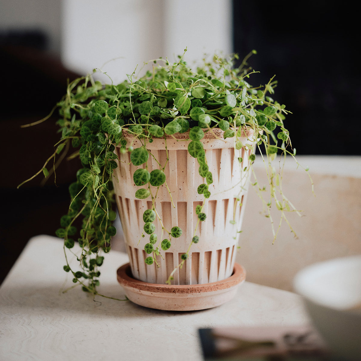 Pantheon Raw Rosa Pot Eleish Van Breems Home