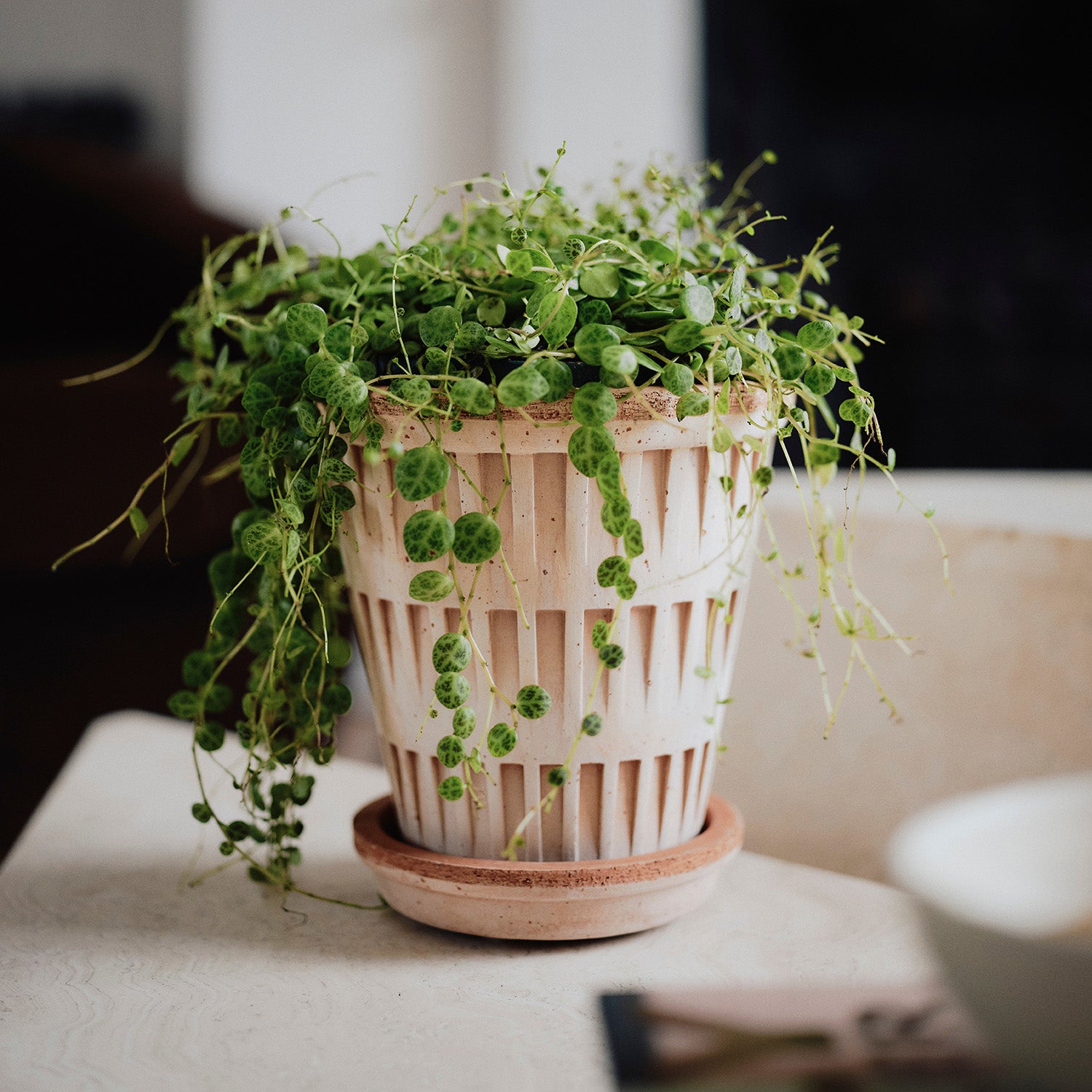 Pantheon Raw Rosa Pot Eleish Van Breems Home