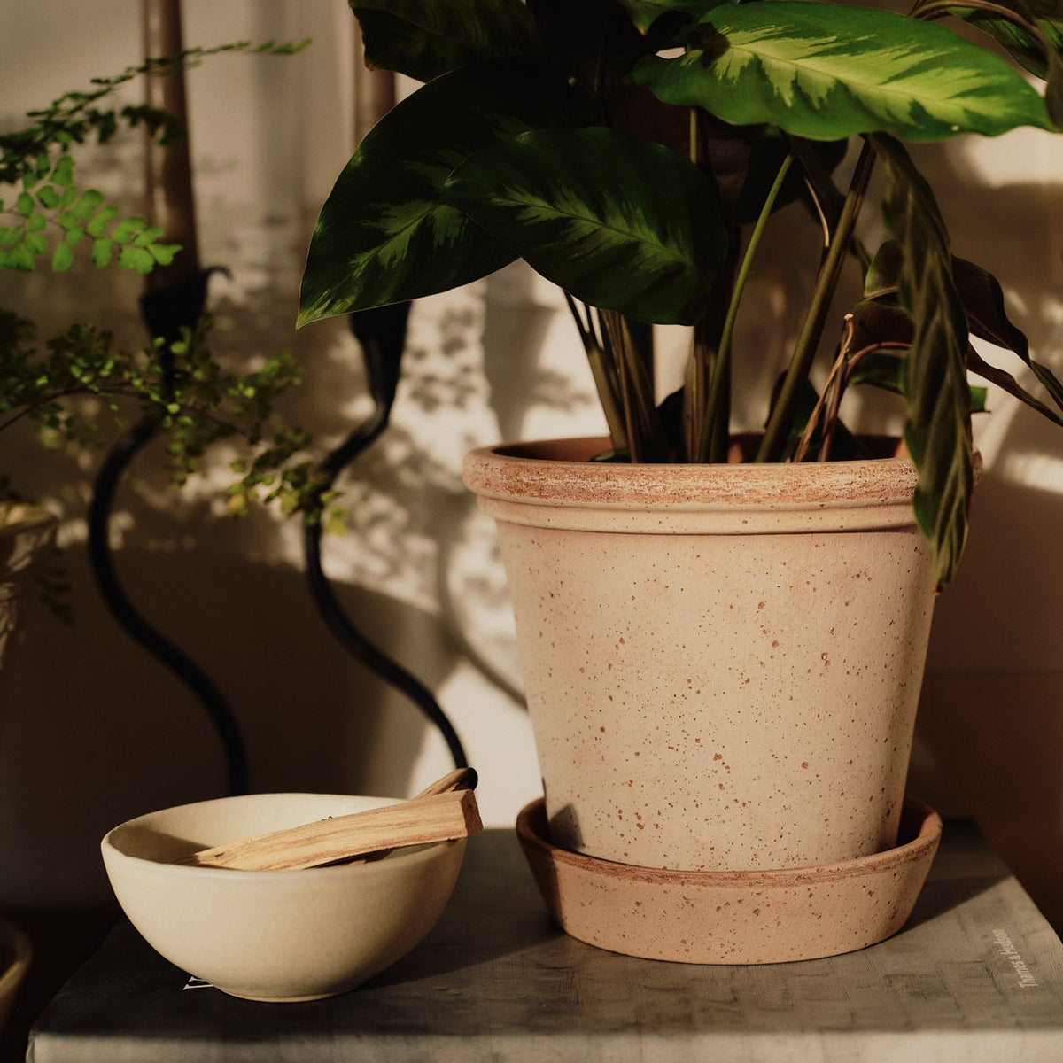 The Flora Raw Terracotta Pot Eleish Van Breems Home