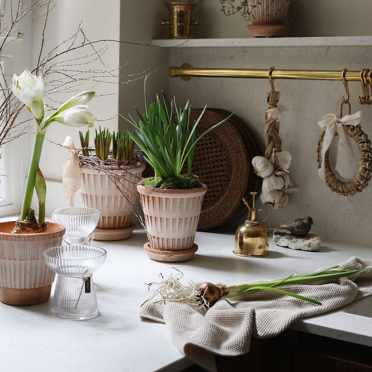 Pantheon Raw Rosa Pot Eleish Van Breems Home