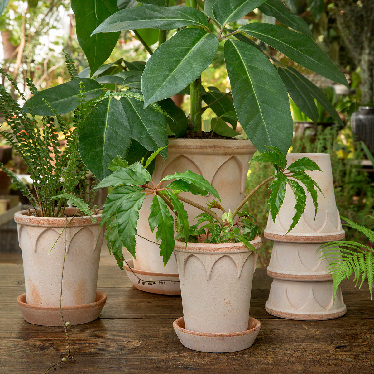 Elizabeth Raw Rosa Pot Eleish Van Breems Home
