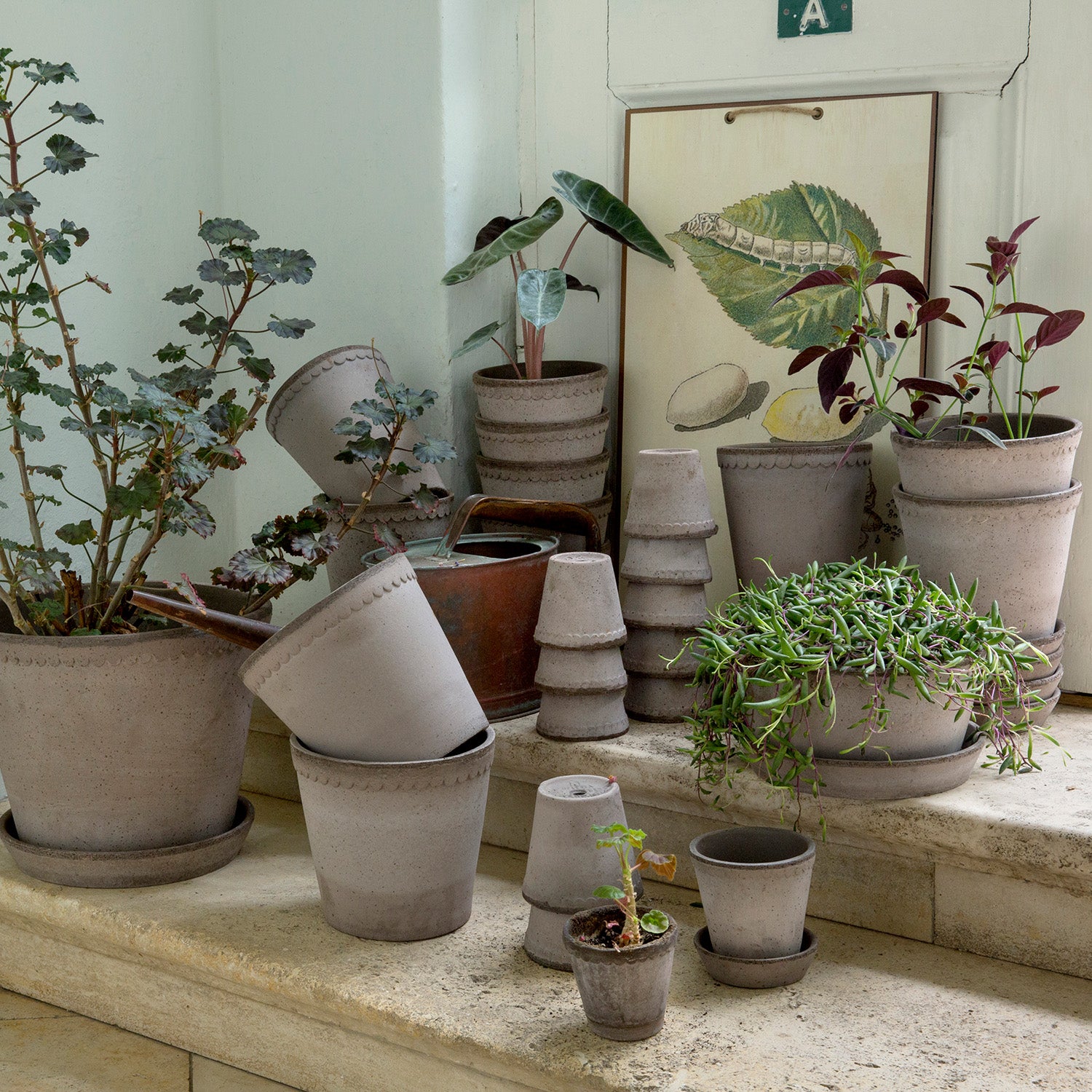 Helena Raw Terracotta Pot Eleish Van Breems Home