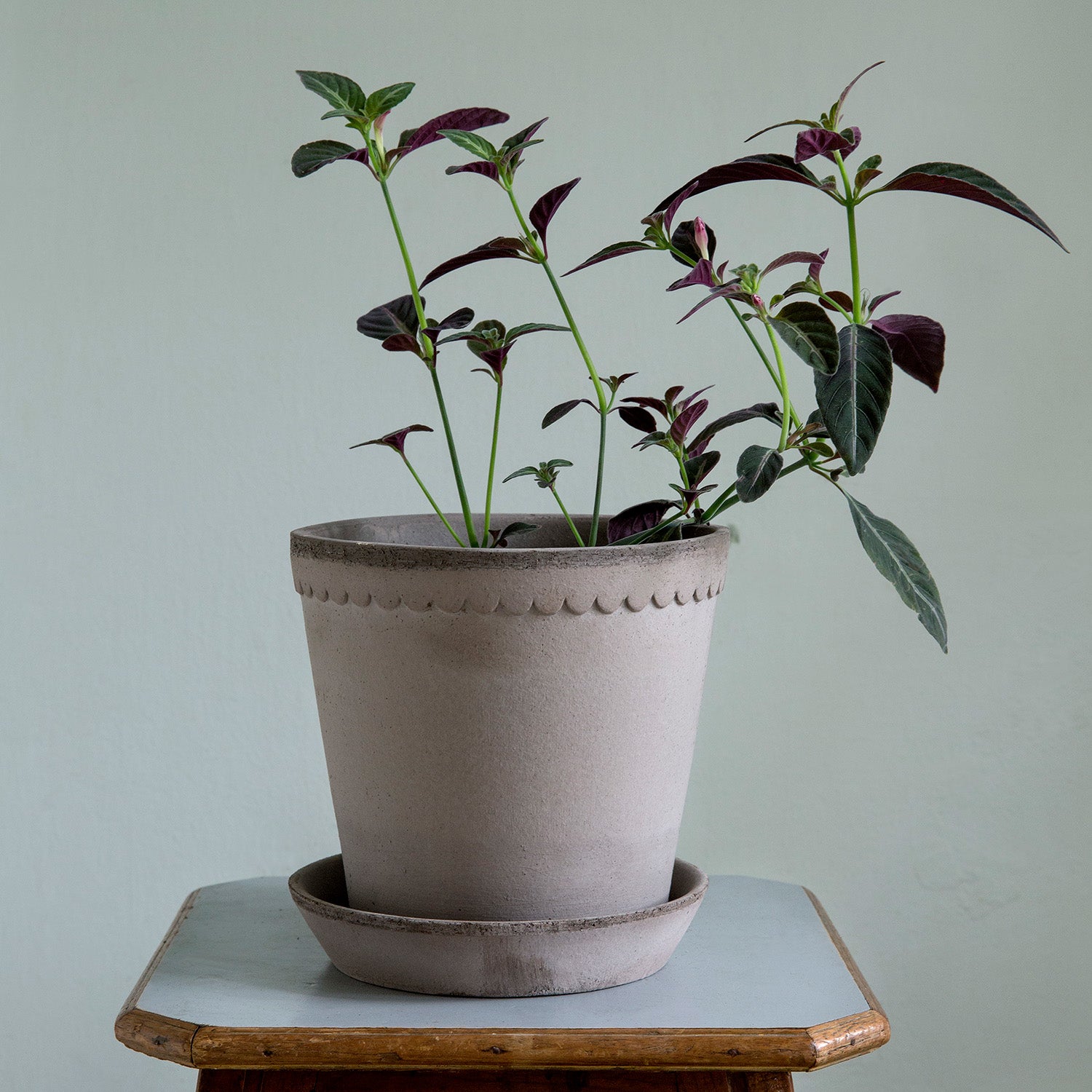 Helena Raw Terracotta Pot Eleish Van Breems Home