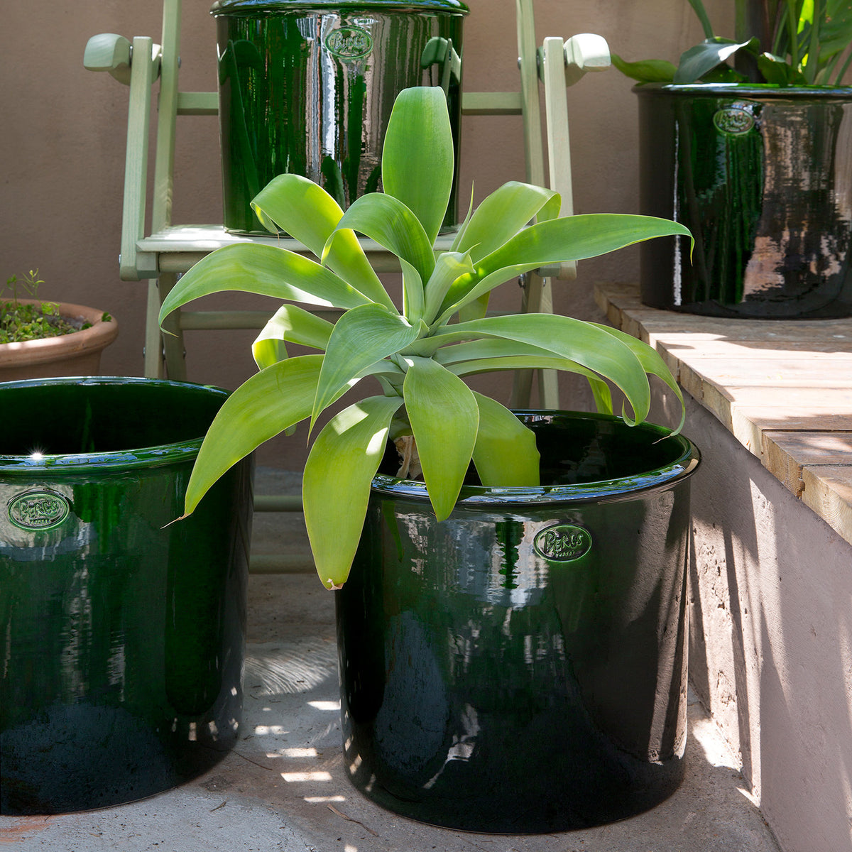 Modena Emerald Green Glazed Cachetpot Eleish Van Breems Home