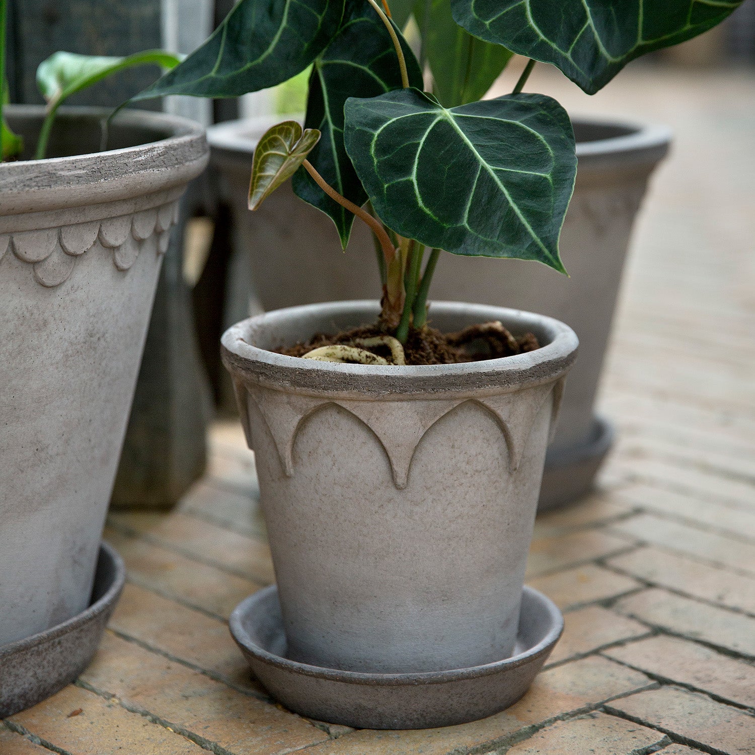 Elizabeth Raw Grey Pot Eleish Van Breems Home
