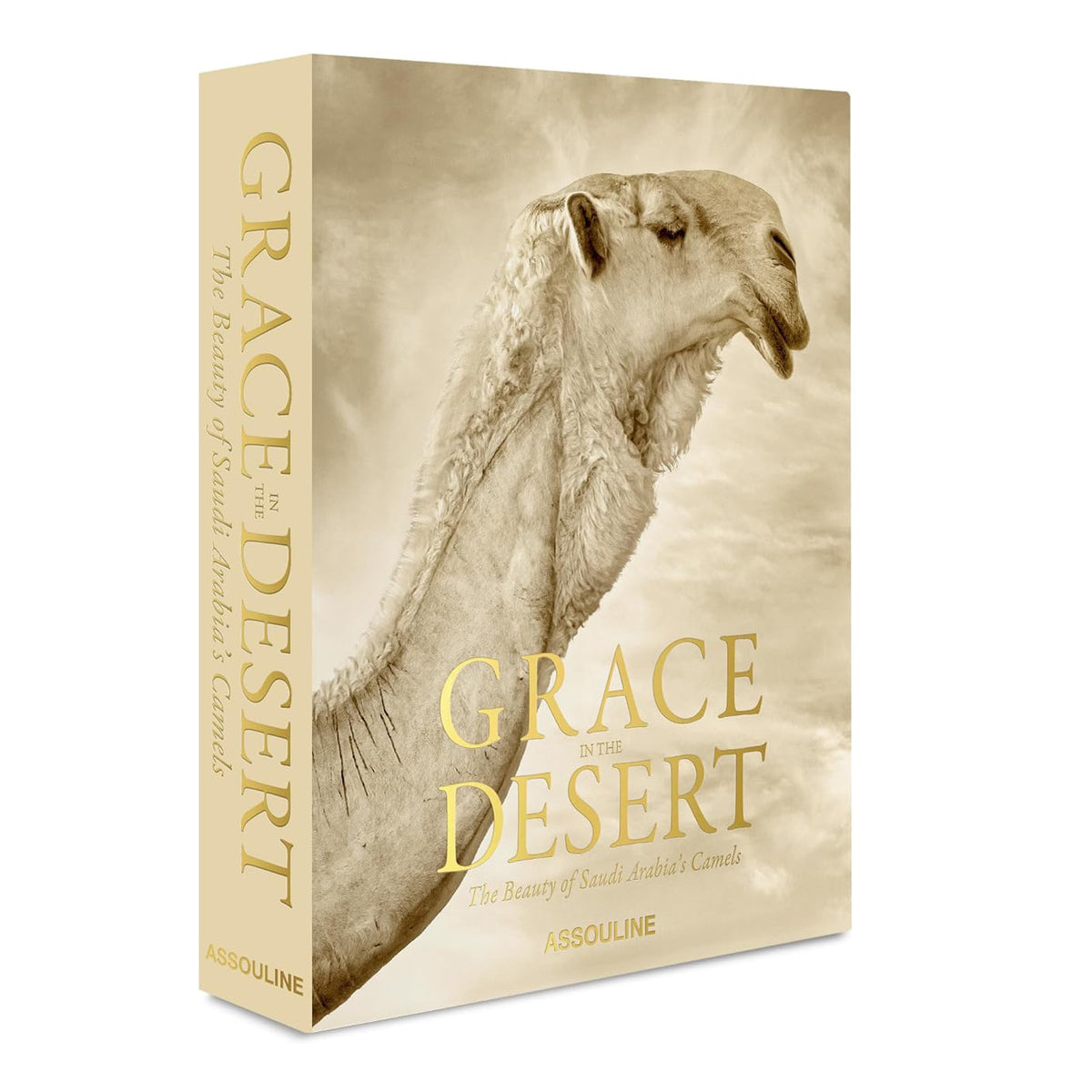 Grace In The Desert: The Beauty Of Saudi Arabia&#39;s Camels Eleish Van Breems Home
