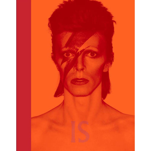 David Bowie Is (Museum of Contemporary Art, Chicago: Exhibition Catalogues)