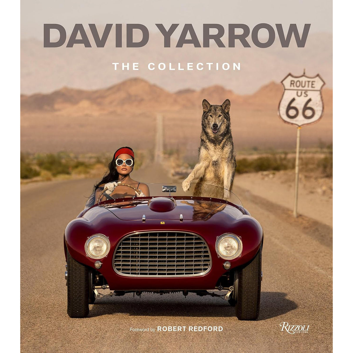 David Yarrow: The Collection Eleish Van Breems Home