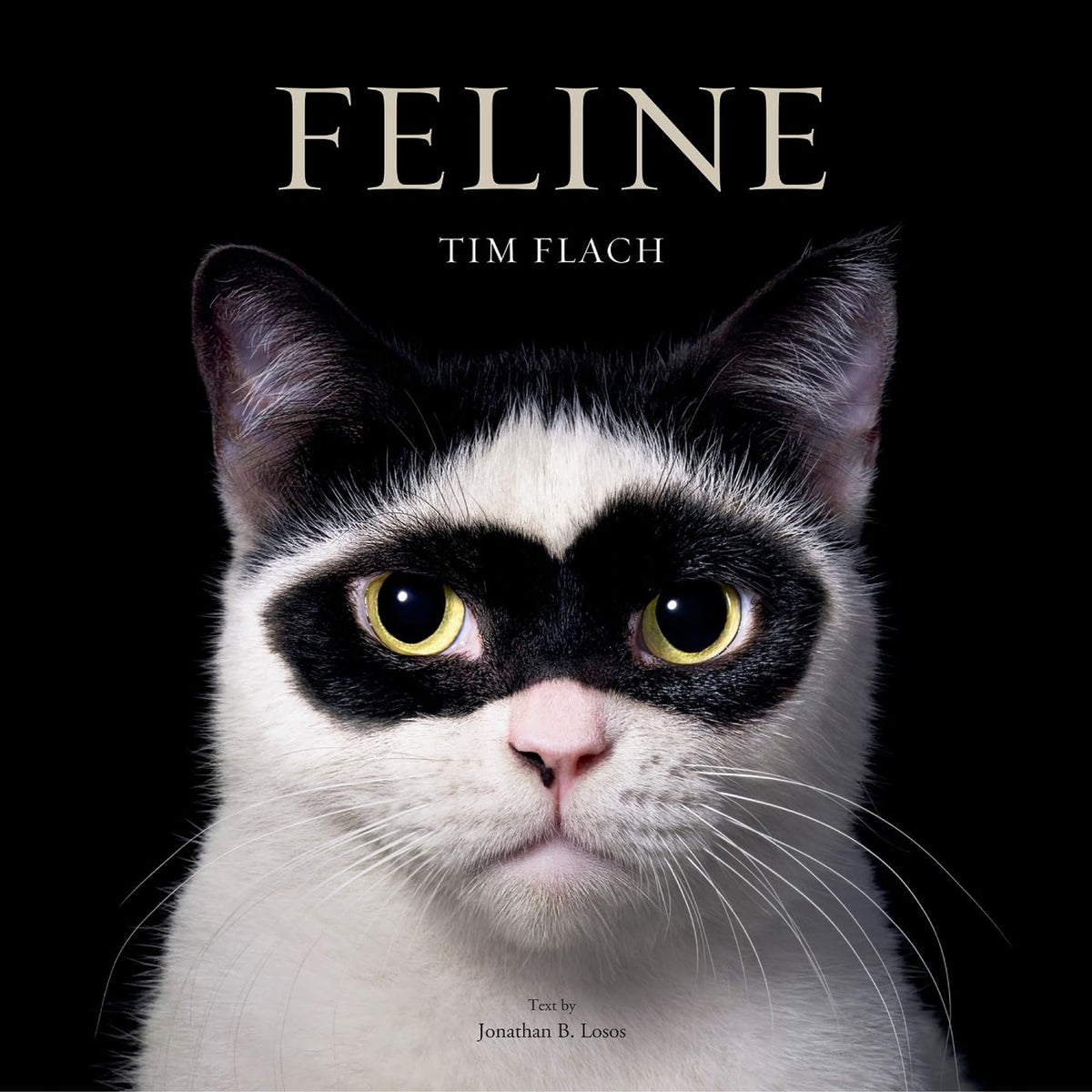 Feline: Photographs Eleish Van Breems Home