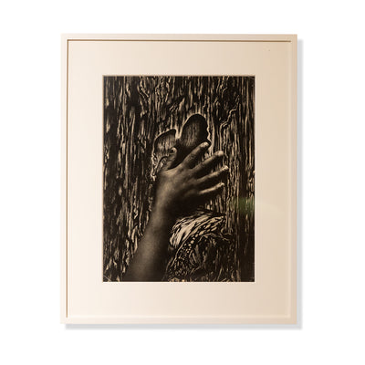 Hattie's Hand by Alan Fontaine