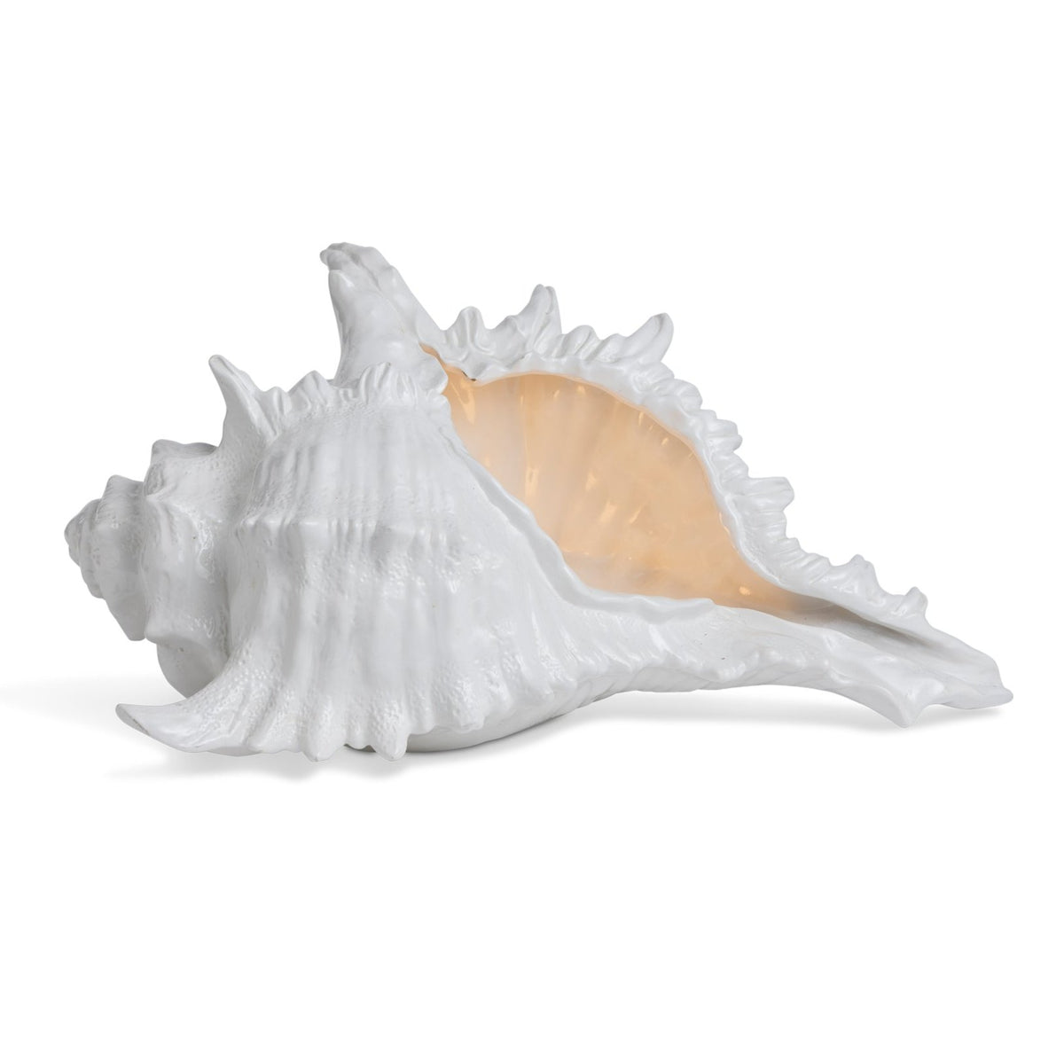 Shell Lamp Eleish Van Breems Home