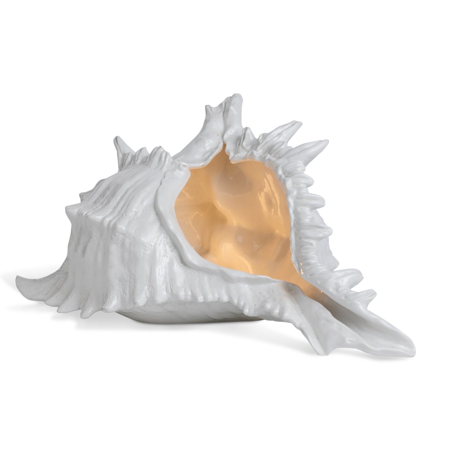 Shell Lamp Eleish Van Breems Home