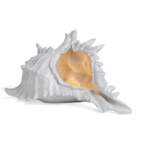 Shell Lamp