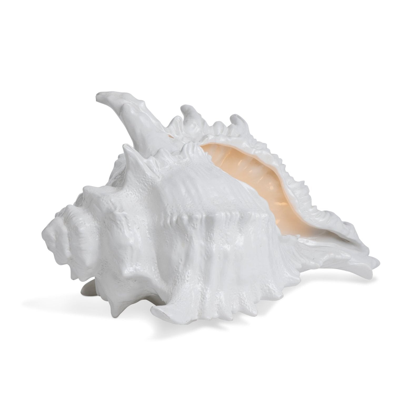 Shell Lamp Eleish Van Breems Home