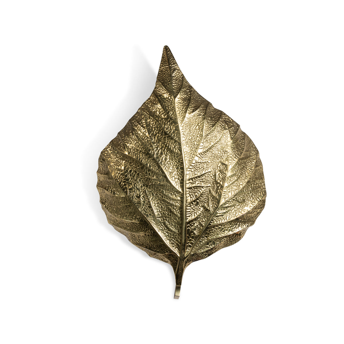 Pair of Leaf Sconces Eleish Van Breems Home