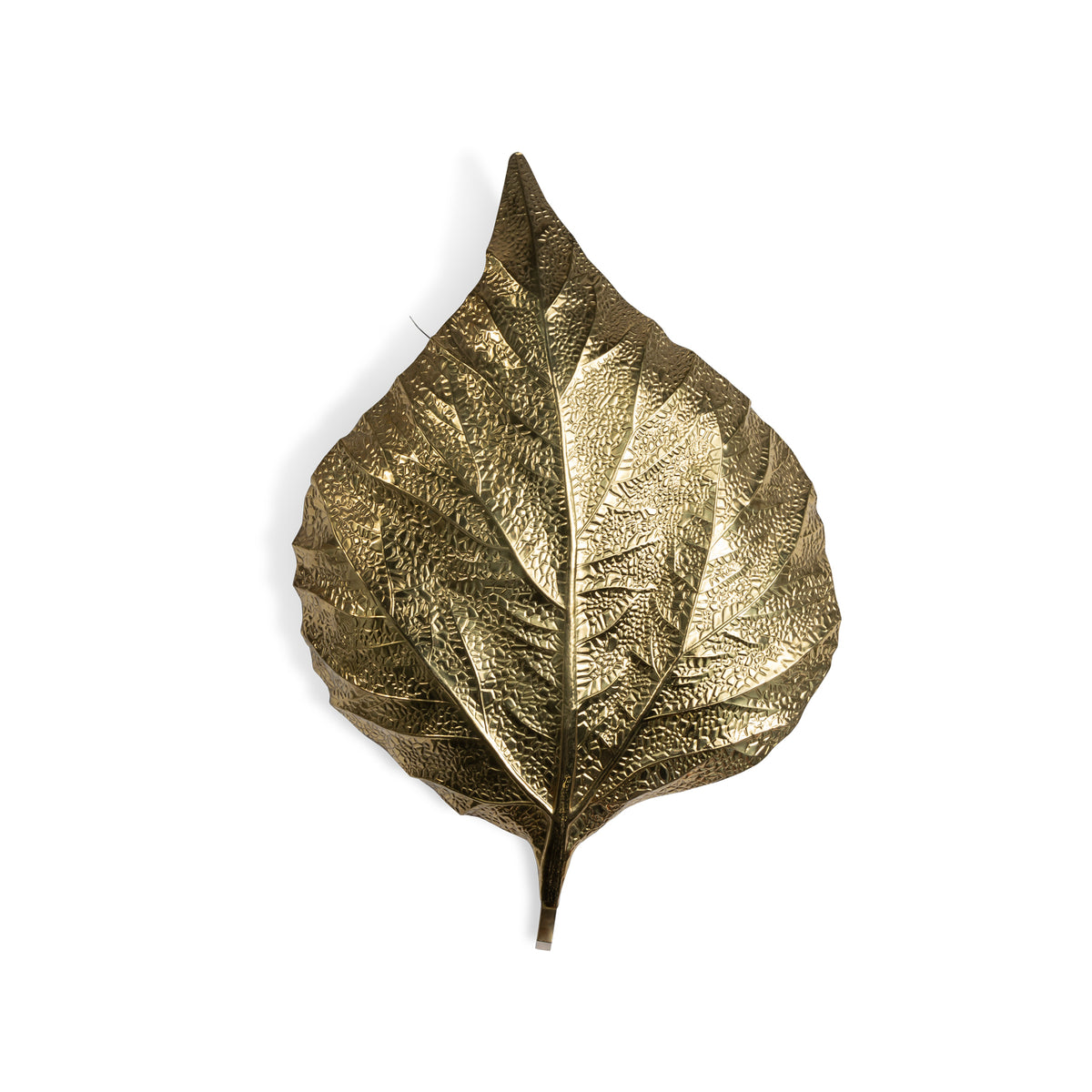 Pair of Leaf Sconces Eleish Van Breems Home