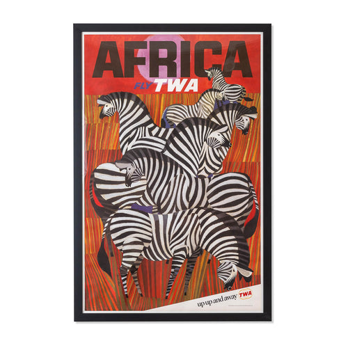 Africa Zebra  Framed