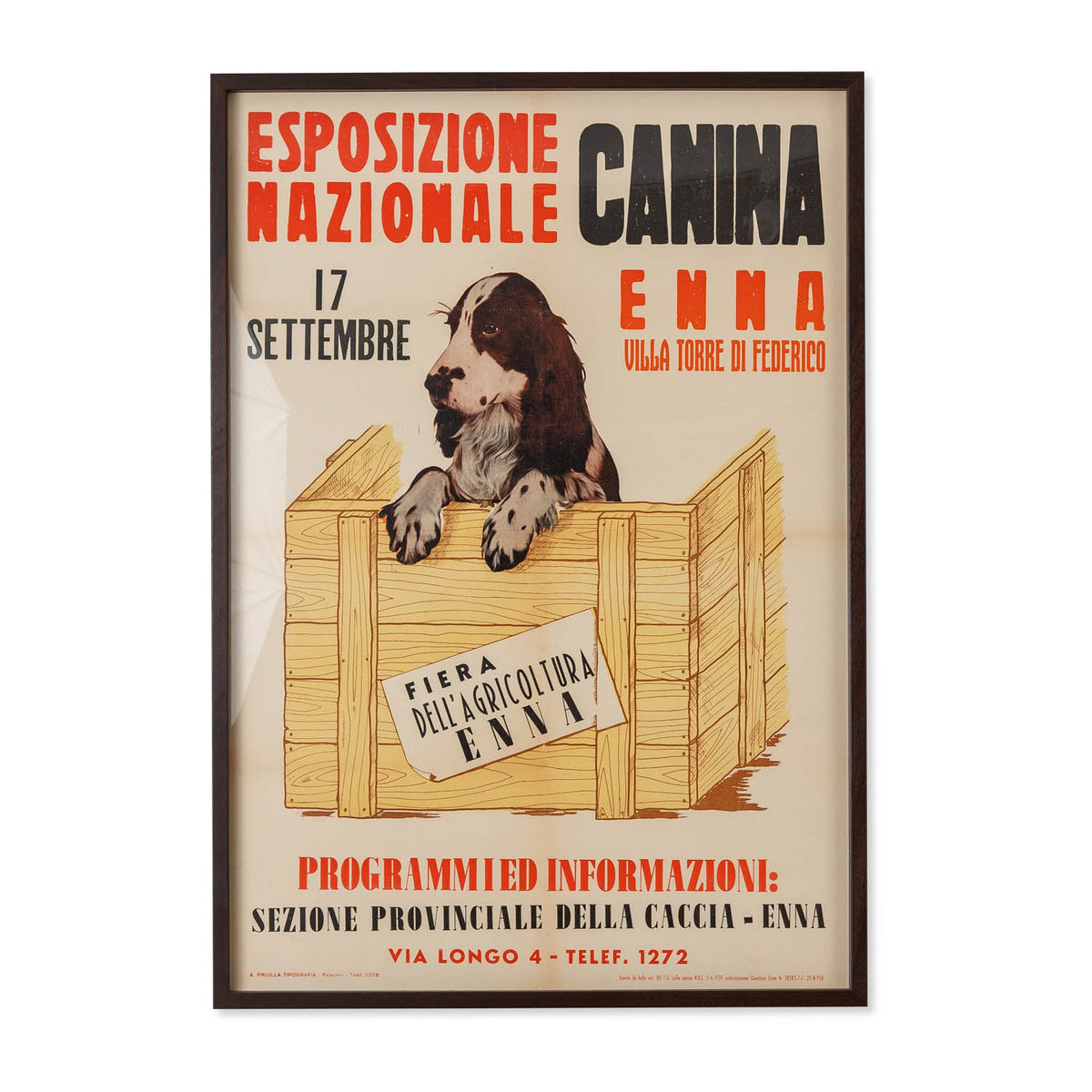 Canina Dog Show Framed Poster Eleish Van Breems Home