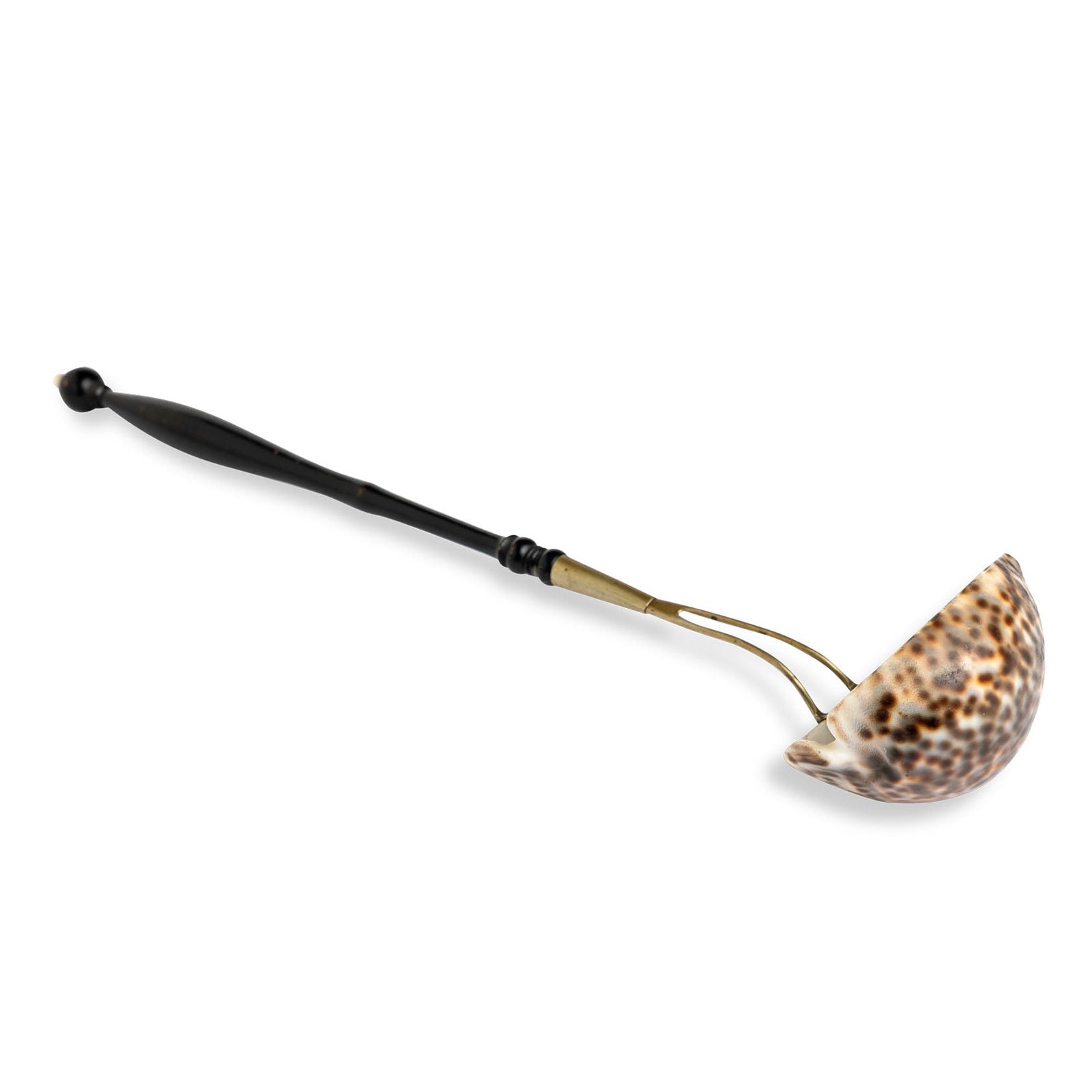 Shell Ladle Eleish Van Breems Home