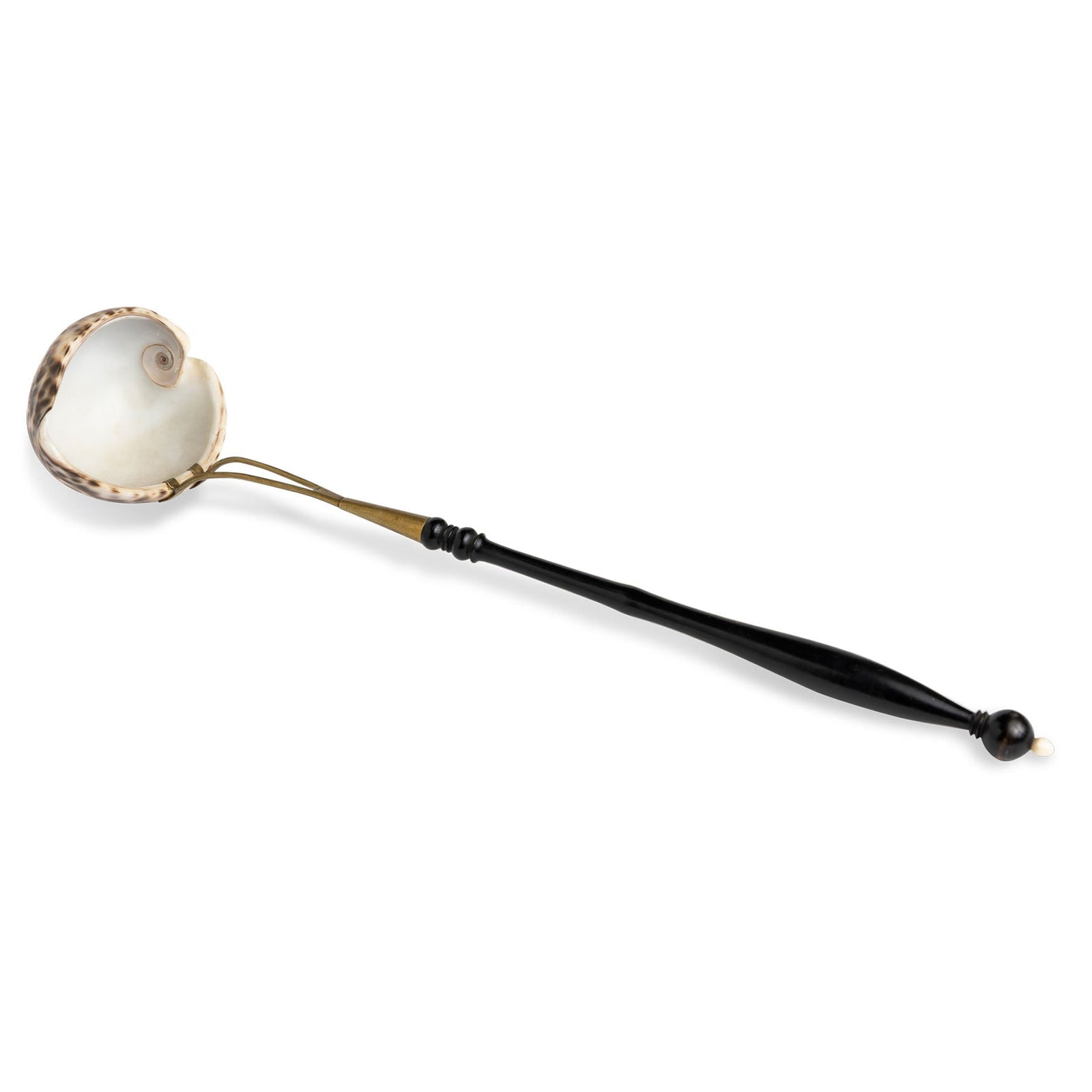 Shell Ladle Eleish Van Breems Home