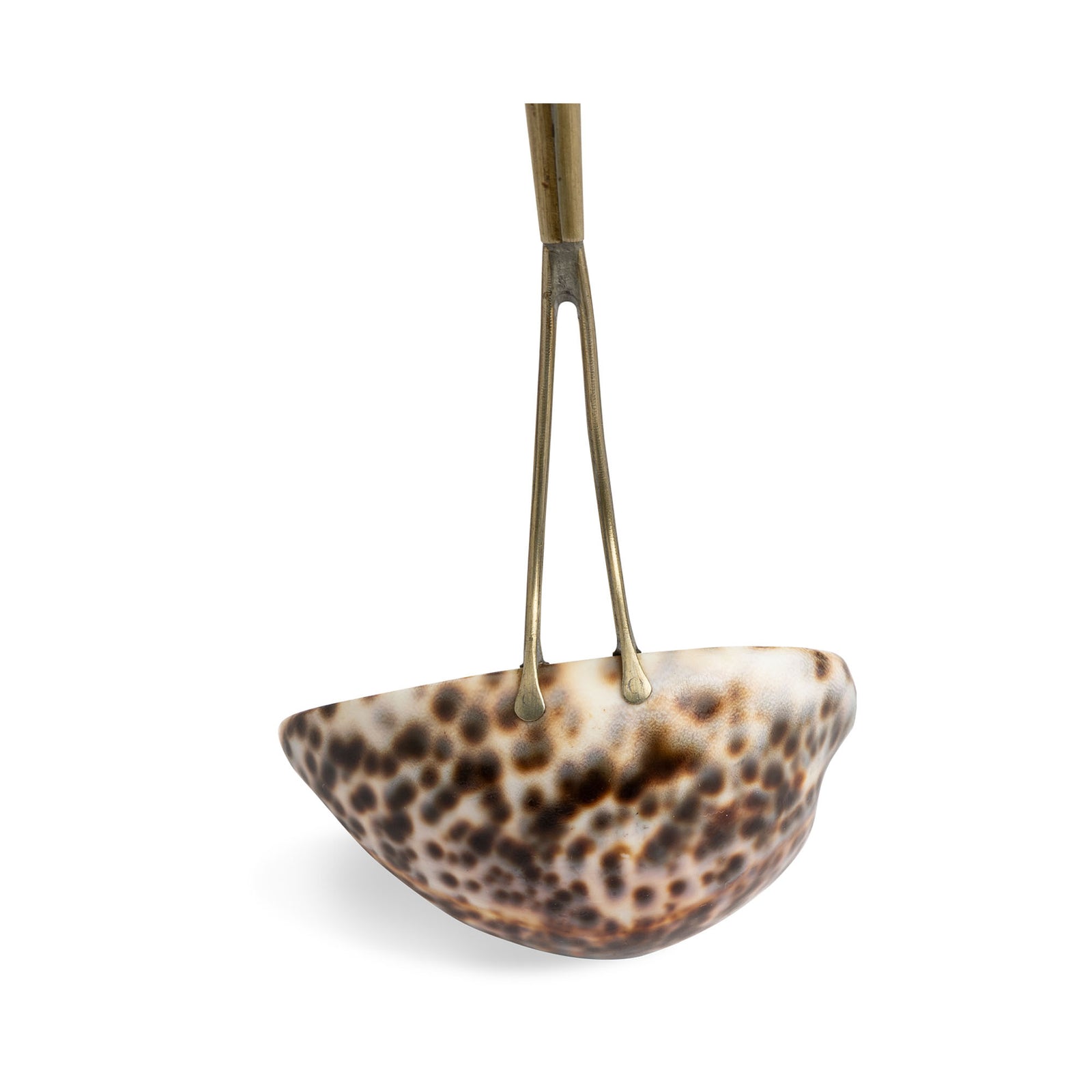 Shell Ladle Eleish Van Breems Home