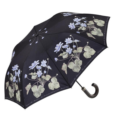 Floral Umbrella