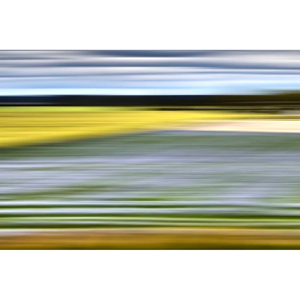 Lavender Weeds Sweden, 2014 by Bonnie Edelman Eleish Van Breems Home