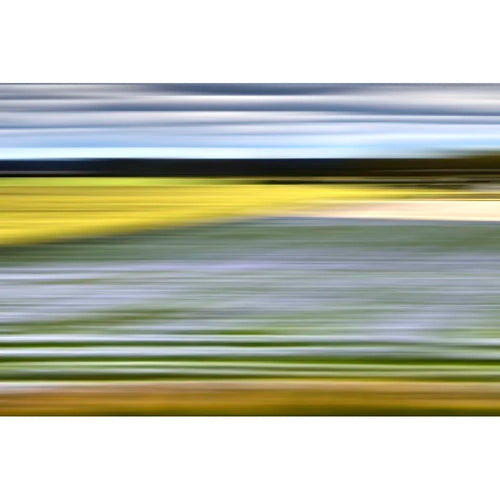 Lavender Weeds Sweden, 2014 by Bonnie Edelman