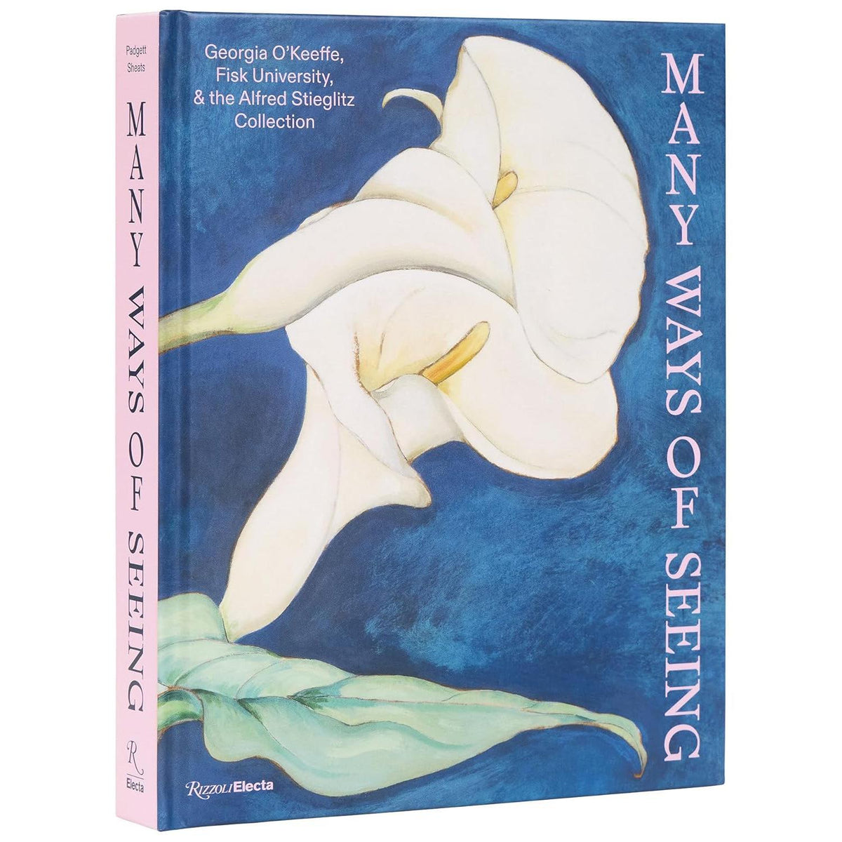 Many Ways of Seeing: Georgia O’Keeffe, Fisk University, and the Alfred Stieglitz Collection Eleish Van Breems Home